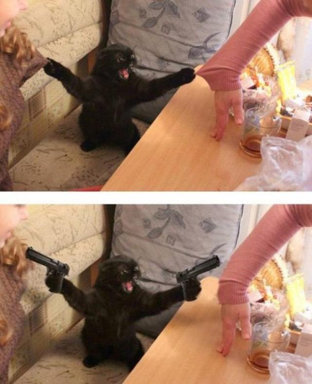 Позитив, юмор, смешные фотографии,прикол