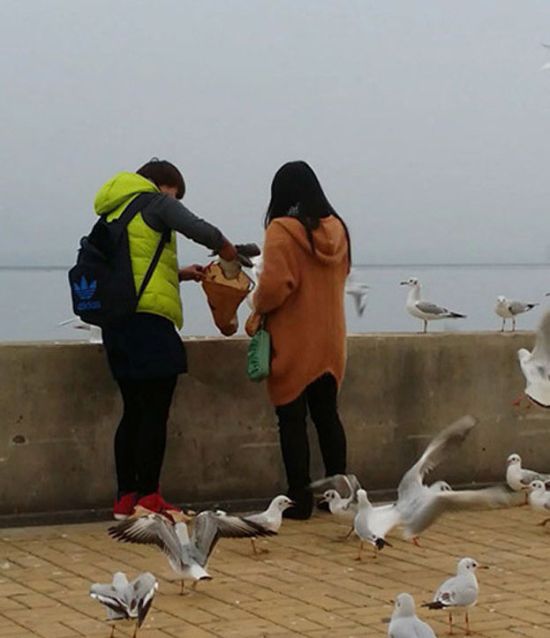 Китайская пара, поймали, чайку, съесть , ужин