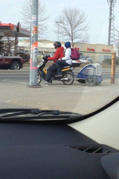 Человеческая глупость, тупость, чудаки