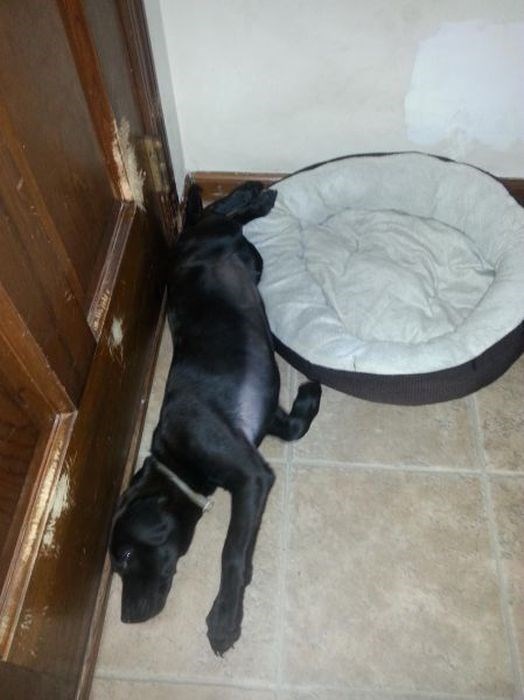 ты делаешь всё не так, люди которые делают всё неправильно, лузеры неудачники