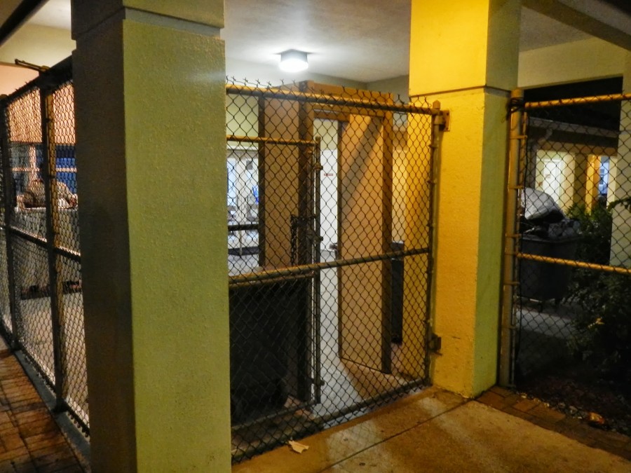 Как кормят в американском приюте для бездомных Как кормят, американский приют, для бездомных