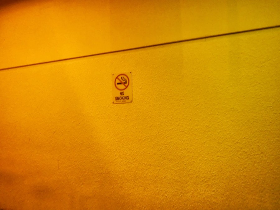 Как кормят в американском приюте для бездомных Как кормят, американский приют, для бездомных