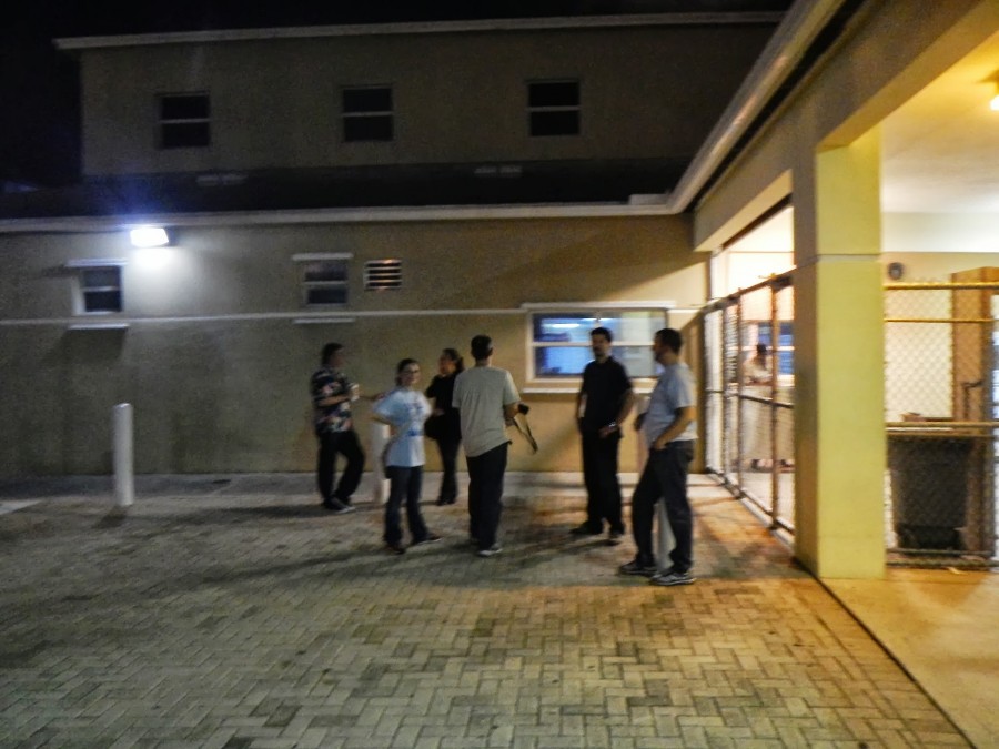 Как кормят в американском приюте для бездомных Как кормят, американский приют, для бездомных