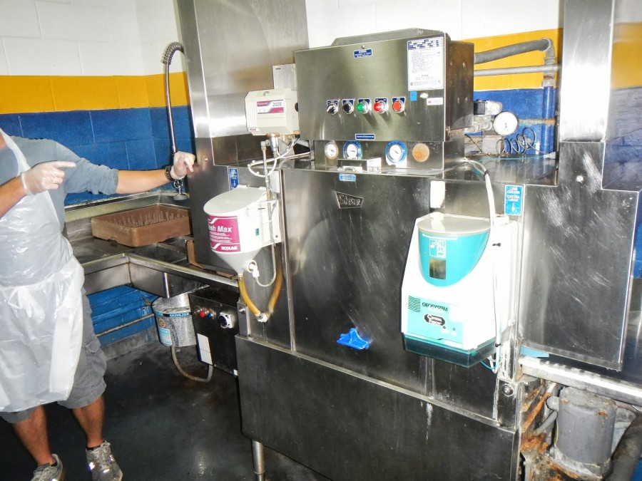 Как кормят в американском приюте для бездомных Как кормят, американский приют, для бездомных