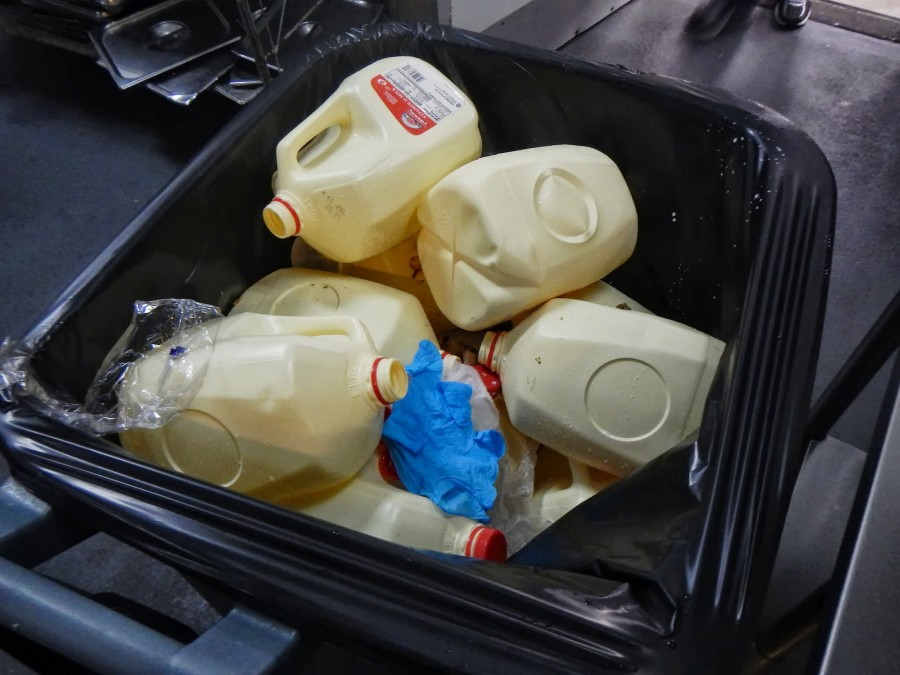 Как кормят в американском приюте для бездомных Как кормят, американский приют, для бездомных