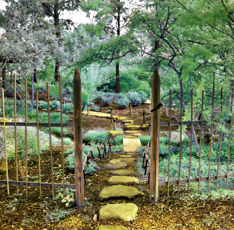 Потрясающие инфракрасные фотографии, позволяющие взглянуть на природу по-другому Инфракрасные фото природы, Гелиос Спада, Helios Spada