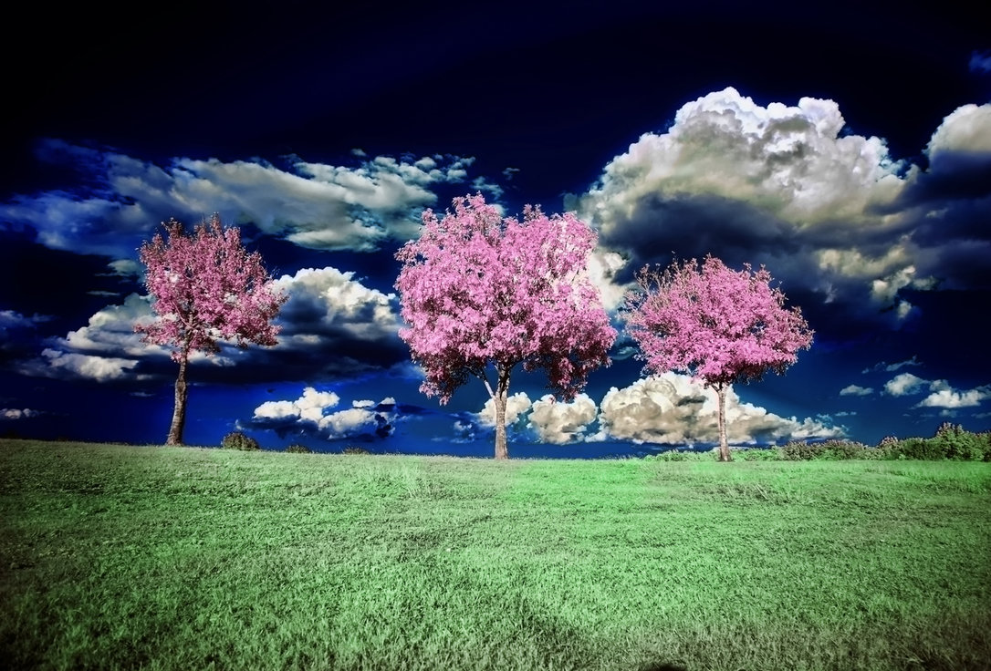 Потрясающие инфракрасные фотографии, позволяющие взглянуть на природу по-другому Инфракрасные фото природы, Гелиос Спада, Helios Spada