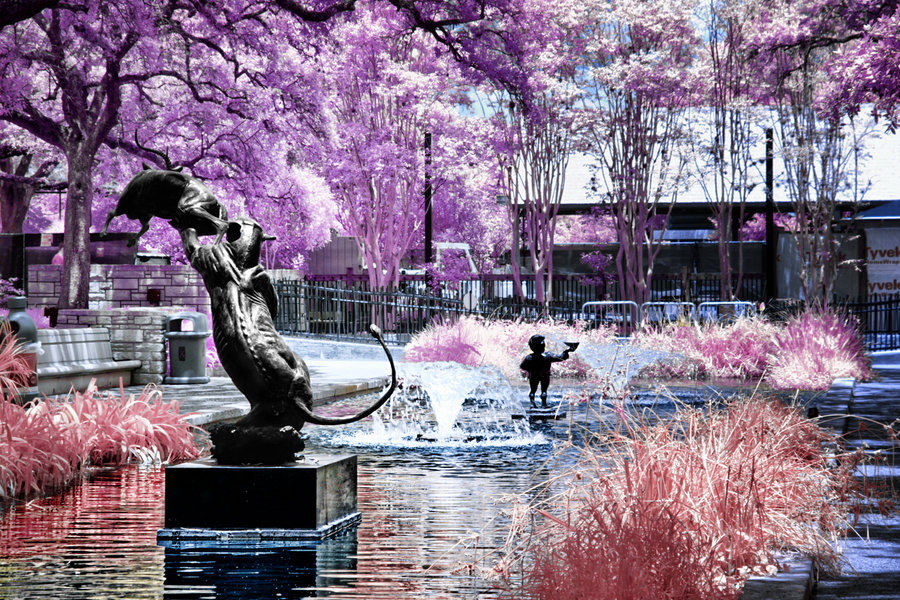 Потрясающие инфракрасные фотографии, позволяющие взглянуть на природу по-другому Инфракрасные фото природы, Гелиос Спада, Helios Spada