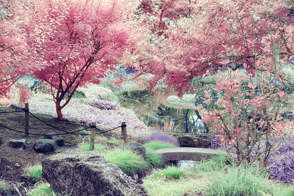 Потрясающие инфракрасные фотографии, позволяющие взглянуть на природу по-другому Инфракрасные фото природы, Гелиос Спада, Helios Spada