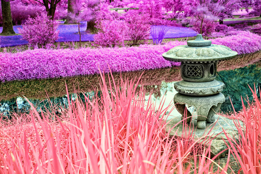 Потрясающие инфракрасные фотографии, позволяющие взглянуть на природу по-другому Инфракрасные фото природы, Гелиос Спада, Helios Spada