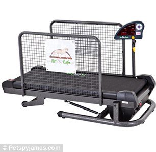 Нарощенные перья и другие тенденции моды среди товаров для собак Нарощенные перья, для собак, Poochie plumes, мода, тенденции, еда