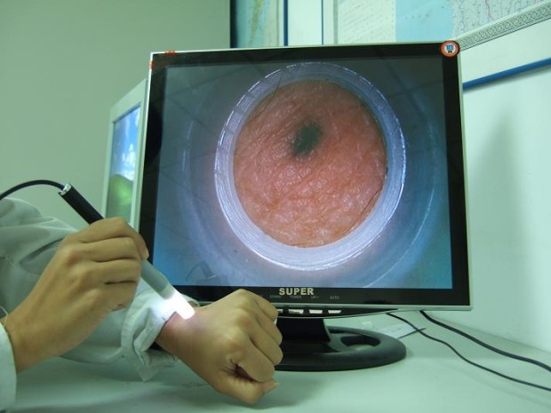 Интересные факты о вашей пищеварительной системе Интересные факты, о пищеварительной системе