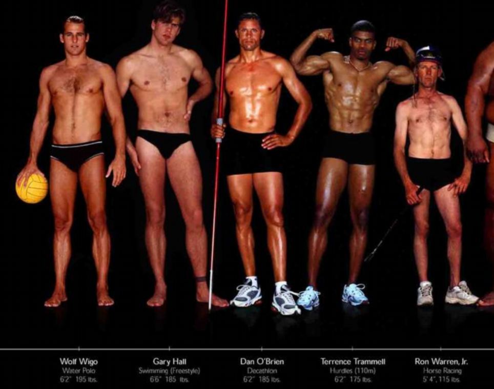 как выглядят, тела ,олимпийских спортсменов,в зависимости от,вид спорта