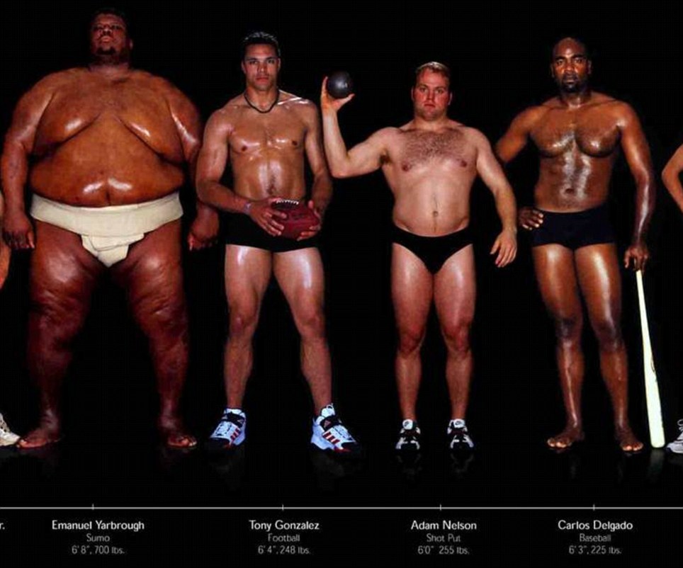 как выглядят, тела ,олимпийских спортсменов,в зависимости от,вид спорта