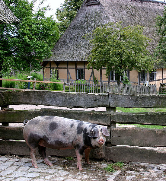 банкроты по глупости, потеряли всё