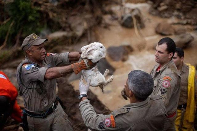 Фотографии волнующие до глубины души V эмоциональные волнующие снимки, трогательные фотографии