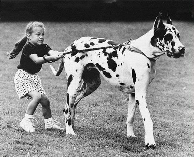 Фотографии волнующие до глубины души V эмоциональные волнующие снимки, трогательные фотографии