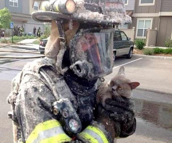 трогательные фото, волнующие снимки, эмоциональные фотографии