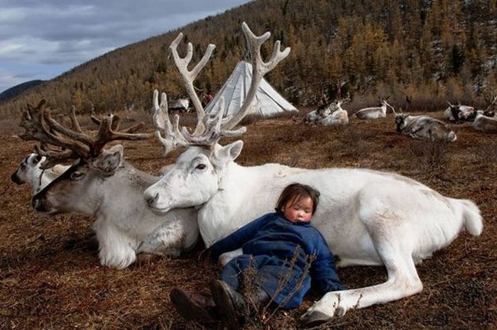 трогательные фото, волнующие снимки, эмоциональные фотографии
