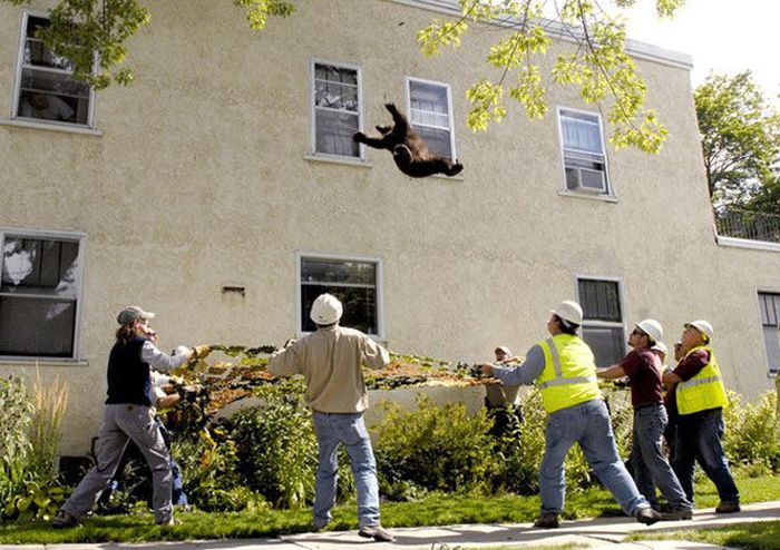 трогательные фото, волнующие снимки, эмоциональные фотографии