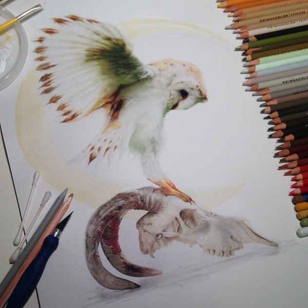 реалистичные рисунки Карлы Миалинн,Karla Mialynne, рисунки карандашами