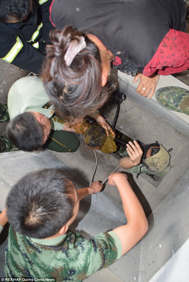20-месячный, мальчик, упал, в яму, общественного туалета, Китай