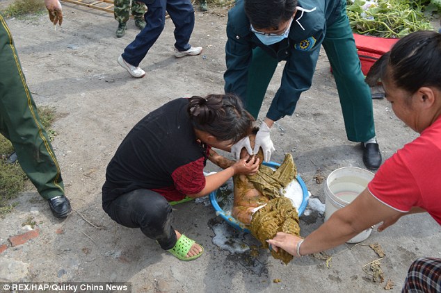20-месячный, мальчик, упал, в яму, общественного туалета, Китай