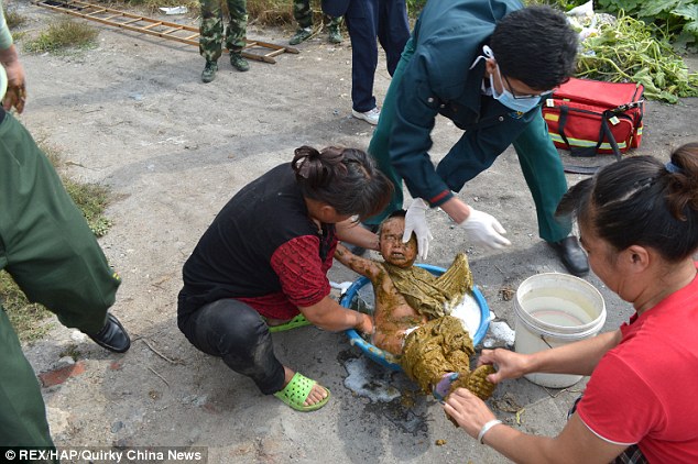 20-месячный, мальчик, упал, в яму, общественного туалета, Китай