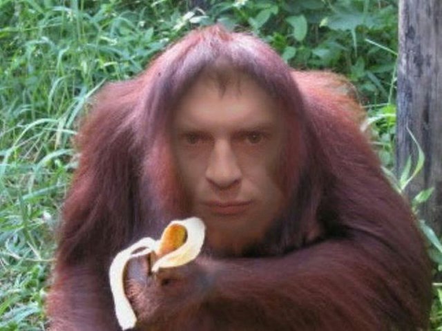 люди, социальные сети