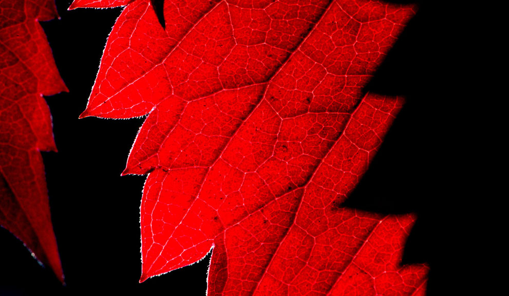 осень,осень 2013,мир 