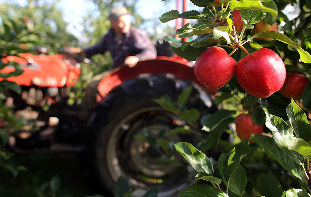 осень,осень 2013,мир 