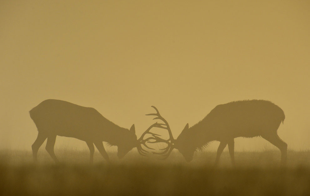 осень,осень 2013,мир 