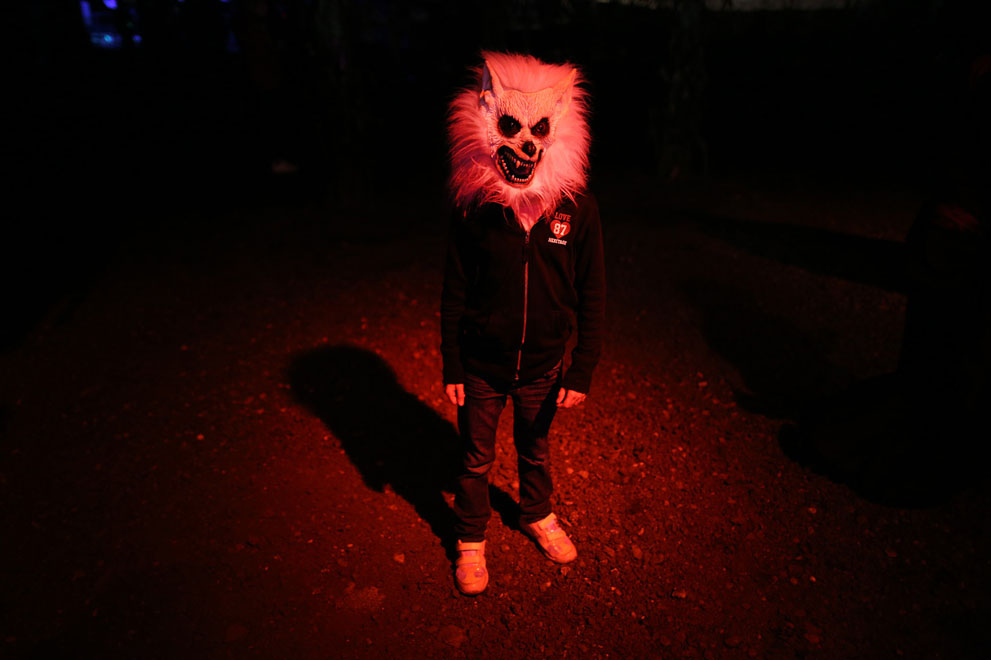 осень,осень 2013,мир 