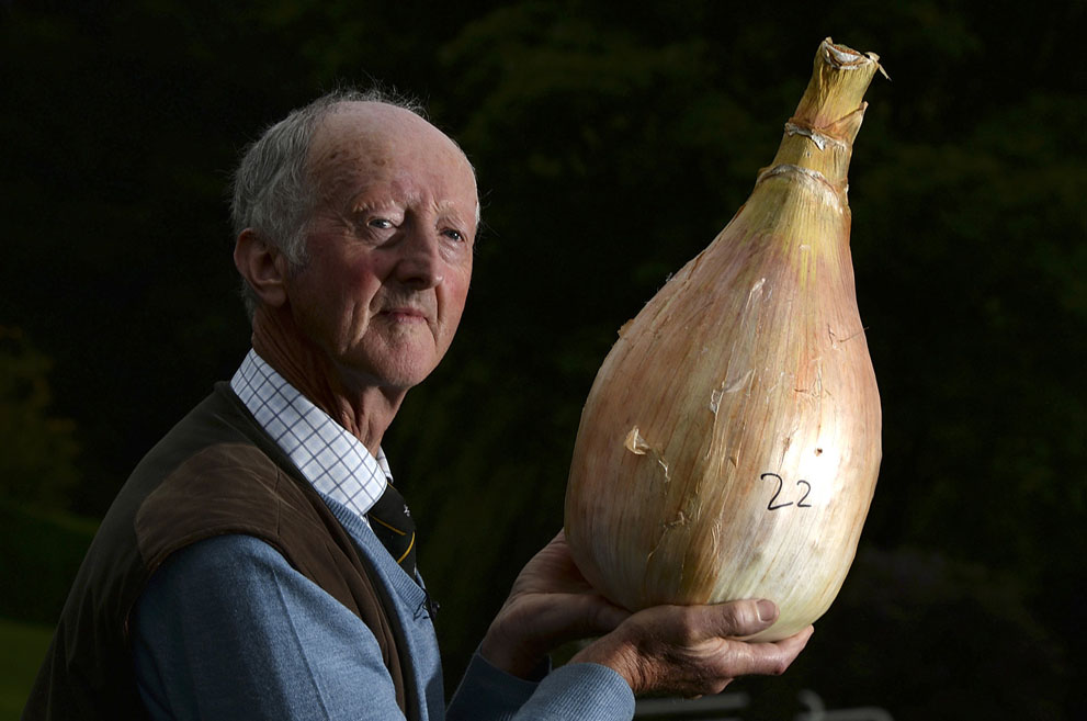 осень,осень 2013,мир 