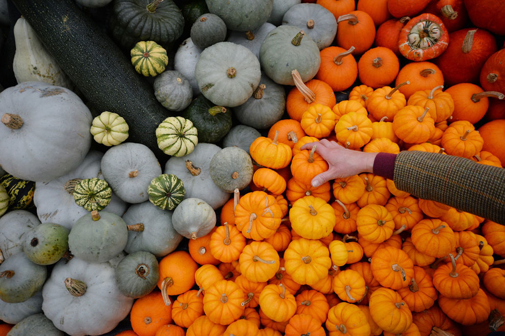 осень,осень 2013,мир 