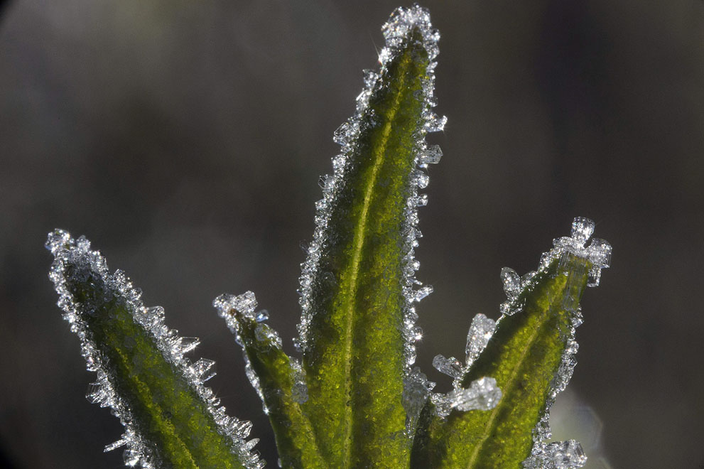 осень,осень 2013,мир 