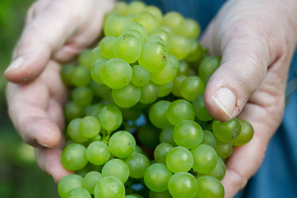 осень,осень 2013,мир 