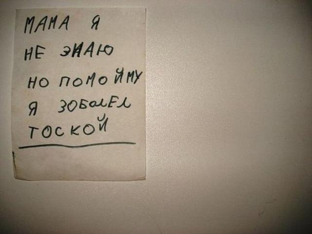 Позитив, юмор, смешные фотографии,прикол