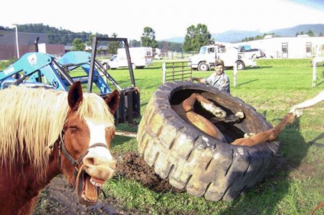 Позитив, юмор, смешные фотографии,прикол