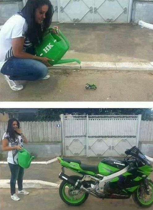 Позитив, юмор, смешные фотографии,прикол