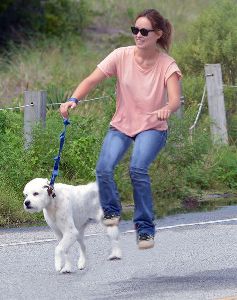 Знаменитости,на невидимых, велосипедах ,Арнольд Шварценеггер, Питт, ДиКаприо