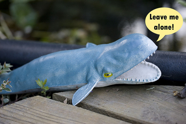 Удивительные,истории, факты, создание,духов, парфюмов