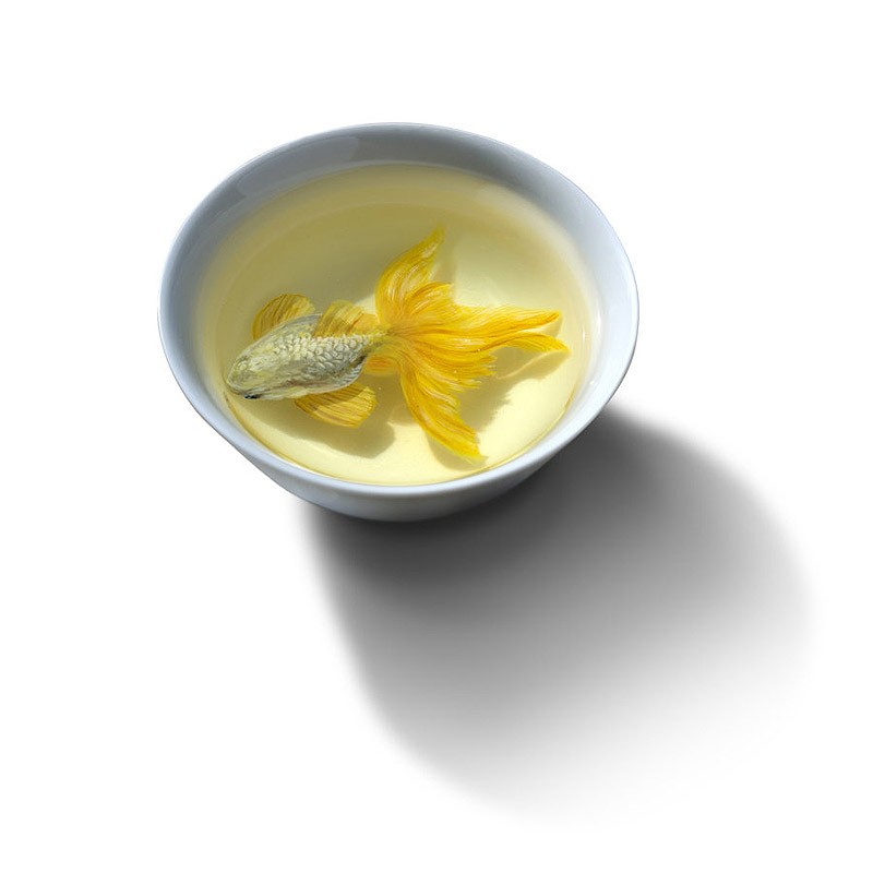 Кен Лай, Keng Lye, 3D-животные, акрил, смола