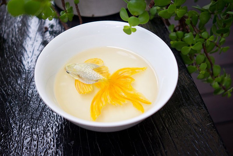 Кен Лай, Keng Lye, 3D-животные, акрил, смола