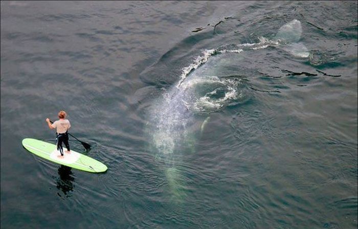 трогательные, поразительные, волнующие фото