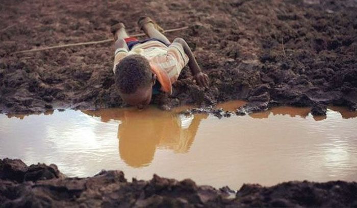 трогательные, поразительные, волнующие фото