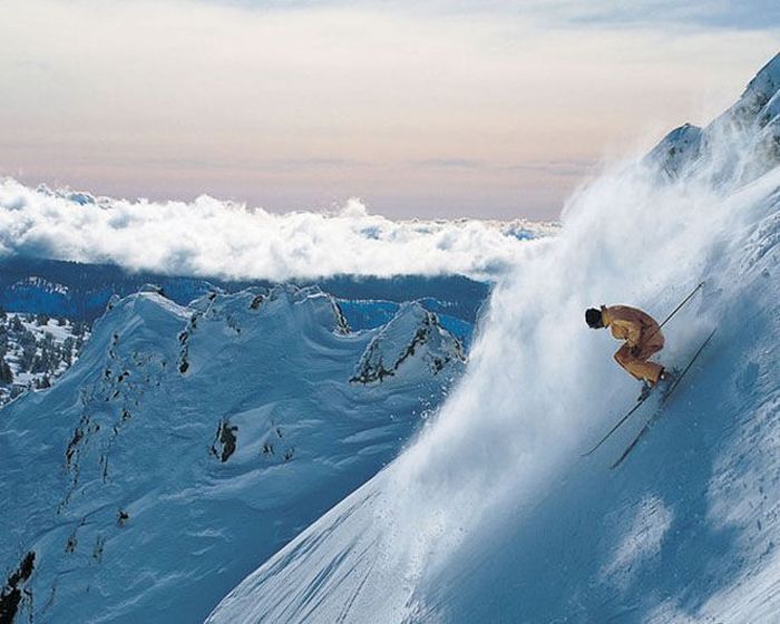 трогательные, поразительные, волнующие фото