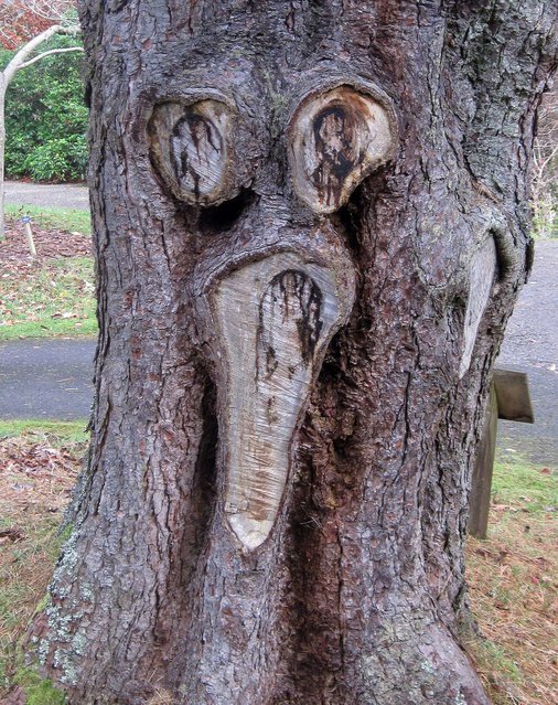 лица повсюду, олицетворённые предметы