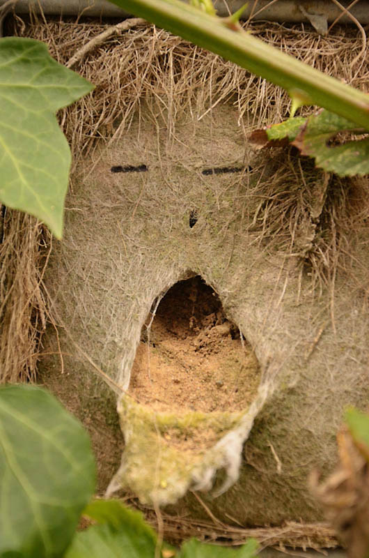 лица повсюду, олицетворённые предметы