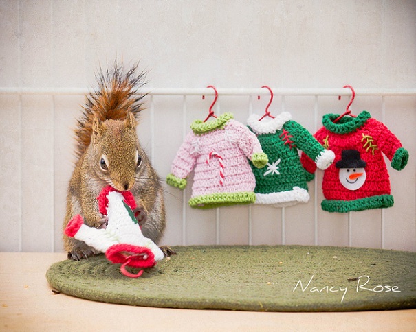 Нэнси Роуз, Nancy Rose,\ белки человеческие дела